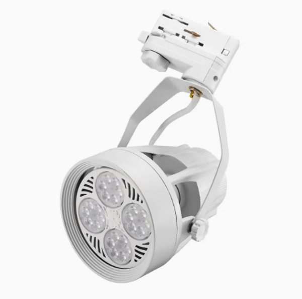 PAR 30 Track Light
